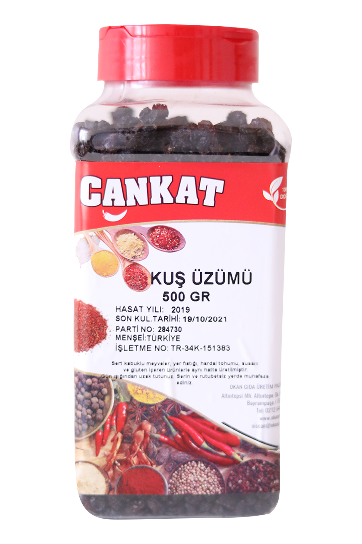 Kuş Üzümü